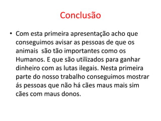 Lutas de animais ilegaisEstá em vigor desde o dia 1 a nova lei da criação, reprodução e detenção de animais perigosos e potencialmente perigosos. Uma das novidades, entre várias outras, do novo regime jurídico é a punição da luta de cães.