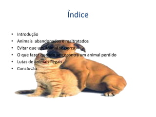 ÍndiceIntroduçãoAnimais  abandonados e maltratadosEvitar que um animal se percaO que fazer quando se encontra um animal perdidoLutas de animais ilegaisConclusão 