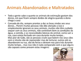 Animais maltratados 
