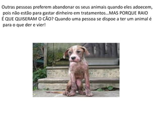 Lutas de animais ilegaisEsperamos que este trabalho sirva para que as pessoas mudem a maneira como tratam os animais.E também pretendemos cumprir os objectivos que nos foram propostos. 