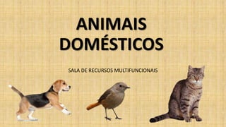 ANIMAIS
DOMÉSTICOS
SALA DE RECURSOS MULTIFUNCIONAIS
 