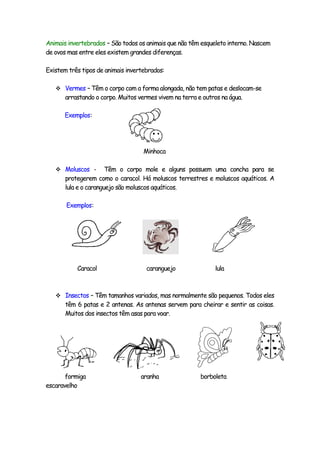 Animais invertebrados – São todos os animais que não têm esqueleto interno. Nascem
de ovos mas entre eles existem grandes diferenças.

Existem três tipos de animais invertebrados:

    Vermes – Têm o corpo com a forma alongada, não tem patas e deslocam-se
       arrastando o corpo. Muitos vermes vivem na terra e outros na água.

       Exemplos:




                                    Minhoca

    Moluscos -        Têm o corpo mole e alguns possuem uma concha para se
       protegerem como o caracol. Há moluscos terrestres e moluscos aquáticos. A
       lula e o caranguejo são moluscos aquáticos.

       Exemplos:




           Caracol                   caranguejo               lula



    Insectos – Têm tamanhos variados, mas normalmente são pequenos. Todos eles
       têm 6 patas e 2 antenas. As antenas servem para cheirar e sentir as coisas.
       Muitos dos insectos têm asas para voar.




       formiga                     aranha                borboleta
escaravelho
 
