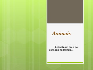 Animais
Animais em risco de
extinção no Mundo...
 