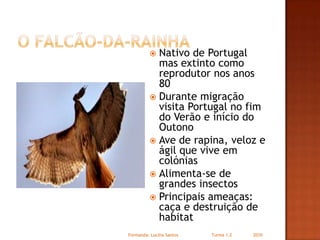 O falcão-da-rainhaNativo de Portugal mas extinto como reprodutor nos anos 80Durante migração visita Portugal no fim do Verão e início do OutonoAve de rapina, veloz e ágil que vive em colóniasAlimenta-se de grandes insectosPrincipais ameaças: caça e destruição de habitatFormanda: Lucilia Santos                         Turma 1.2                2010