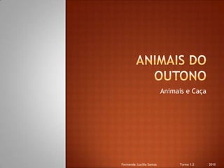 Animais do Outono Animais e Caça Formanda: Lucilia Santos                         Turma 1.2                2010 