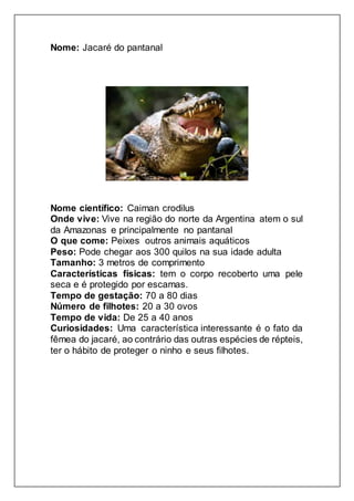 Nome: Jacaré do pantanal
Nome científico: Caiman crodilus
Onde vive: Vive na região do norte da Argentina atem o sul
da Amazonas e principalmente no pantanal
O que come: Peixes outros animais aquáticos
Peso: Pode chegar aos 300 quilos na sua idade adulta
Tamanho: 3 metros de comprimento
Características físicas: tem o corpo recoberto uma pele
seca e é protegido por escamas.
Tempo de gestação: 70 a 80 dias
Número de filhotes: 20 a 30 ovos
Tempo de vida: De 25 a 40 anos
Curiosidades: Uma característica interessante é o fato da
fêmea do jacaré, ao contrário das outras espécies de répteis,
ter o hábito de proteger o ninho e seus filhotes.
 
