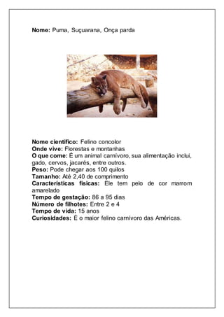 Nome: Puma, Suçuarana, Onça parda
Nome cientifico: Felino concolor
Onde vive: Florestas e montanhas
O que come: É um animal carnívoro, sua alimentação inclui,
gado, cervos, jacarés, entre outros.
Peso: Pode chegar aos 100 quilos
Tamanho: Até 2,40 de comprimento
Características físicas: Ele tem pelo de cor marrom
amarelado
Tempo de gestação: 86 a 95 dias
Número de filhotes: Entre 2 e 4
Tempo de vida: 15 anos
Curiosidades: É o maior felino carnívoro das Américas.
 