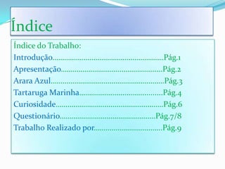 ÍndiceÍndice do Trabalho:Introdução…………………………………………………Pág.1Apresentação…………………………………………….Pág.2Arara Azul………………………………………………….Pág.3Tartaruga Marinha…………………………............Pág.4Curiosidade……………………………………………….Pág.6Questionário………………………………………….Pág.7/8Trabalho Realizado por……………………………..Pág.9