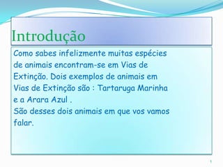 IntroduçãoComo sabes infelizmente muitas espéciesde animais encontram-se em Vias deExtinção. Dois exemplos de animais emVias de Extinção são : Tartaruga Marinhae a Arara Azul .São desses dois animais em que vos vamosfalar.1