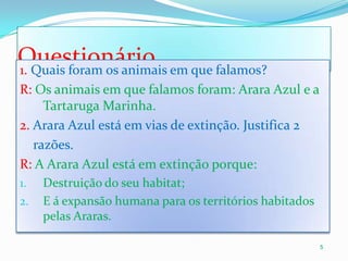 Questionário 1. Quais foram os animais em que falamos?R: Os animais em que falamos foram: Arara Azul e a Tartaruga Marinha.2. Arara Azul está em vias de extinção. Justifica 2    razões.R:A Arara Azul está em extinção porque:Destruição do seu habitat;E á expansão humana para os territórios habitados pelas Araras.5