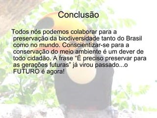 Conclusão Todos nós podemos colaborar para a preservação da biodiversidade tanto do Brasil como no mundo. Conscientizar-se para a conservação do meio ambiente é um dever de todo cidadão. A frase “É preciso preservar para as gerações futuras” já virou passado...o FUTURO é agora! 