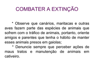 COMBATER A EXTINÇÃO * Observe que canários, maritacas e outras aves fazem parte das espécies de animais que sofrem com o tráfico de animais, portanto, oriente amigos e parentes que tenha o hábito de manter esses animais presos em gaiolas; * Denuncie sempre que perceber ações de maus tratos e manutenção de animais em cativeiro. 