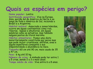 Quais as espécies em perigo?
 Nome popular: Lontra
 Distribuição geográfica: Vive na Europa,
 Ásia, porção sul da América do Norte e ao
 longo de toda a América do Sul, incluindo o
 Brasil e a Argentina.
 Habitat natural: Associada a zonas húmidas,
 ocorre em águas continentais como rios,
 ribeiras, lagoas e albufeiras, em águas
 salobras como os estuários, mas também
 nalguns pontos do litoral marinho.
 Hábitos alimentares: Possui uma dieta
 maioritariamente constituída por peixe mas
 que pode incluir crustáceos, anfíbios, aves e
 alguns mamíferos consoante a sua
 disponibilidade e abundância no meio.
 Tamanho:60 cm até 90 cm; mais cauda de 35
 a 47 cm.
 Peso: 6 kg até 10 kg.
 Número de crias: A ninhada pode ter entre 1
 a 5 crias, sendo 2 a 3 o mais usual.
 Tempo médio de vida: Vive entre 6 a 8 anos.
 