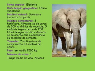 Nome popular: Elefante
Distribuição geográfica: África
subsariana 
Habitat natural: Savanas e
florestas tropicais.
Hábitos alimentares: é
herbívoro. Alimenta-se de cerca
de 300 kg diários de vegetais. O
elefante ingere cerca de 200
litros de água por dia e desloca-
se de acordo com a abundância
ou escassez de alimento.
Tamanho: 7 ou 8 metros de
comprimento e 4 metros de
altura.
Peso: em média 7500 kg.
Número de crias: 1
Tempo médio de vida: 70 anos.
 