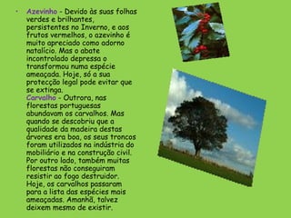 •   Azevinho - Devido às suas folhas
    verdes e brilhantes,
    persistentes no Inverno, e aos
    frutos vermelhos, o azevinho é
    muito apreciado como adorno
    natalício. Mas o abate
    incontrolado depressa o
    transformou numa espécie
    ameaçada. Hoje, só a sua
    protecção legal pode evitar que
    se extinga.
    Carvalho - Outrora, nas
    florestas portuguesas
    abundavam os carvalhos. Mas
    quando se descobriu que a
    qualidade da madeira destas
    árvores era boa, os seus troncos
    foram utilizados na indústria do
    mobiliário e na construção civil.
    Por outro lado, também muitas
    florestas não conseguiram
    resistir ao fogo destruidor.
    Hoje, os carvalhos passaram
    para a lista das espécies mais
    ameaçadas. Amanhã, talvez
    deixem mesmo de existir.
 