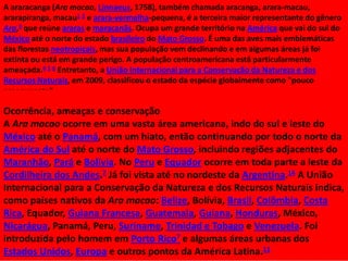 A araracanga (Ara macao, Linnaeus, 1758), também chamada aracanga, arara-macau,
ararapiranga, macau1 2 e arara-vermelha-pequena, é a terceira maior representante do gênero
Ara,3 que reúne araras e maracanãs. Ocupa um grande território na América que vai do sul do
México até o norte do estado brasileiro do Mato Grosso. É uma das aves mais emblemáticas
das florestas neotropicais, mas sua população vem declinando e em algumas áreas já foi
extinta ou está em grande perigo. A população centroamericana está particularmente
ameaçada.4 5 6 Entretanto, a União Internacional para a Conservação da Natureza e dos
Recursos Naturais, em 2009, classificou o estado da espécie globalmente como "pouco
preocupante“

Ocorrência, ameaças e conservação
A Ara macao ocorre em uma vasta área americana, indo do sul e leste do
México até o Panamá, com um hiato, então continuando por todo o norte da
América do Sul até o norte do Mato Grosso, incluindo regiões adjacentes do
Maranhão, Pará e Bolívia. No Peru e Equador ocorre em toda parte a leste da
Cordilheira dos Andes.7 Já foi vista até no nordeste da Argentina.14 A União
Internacional para a Conservação da Natureza e dos Recursos Naturais indica,
como países nativos da Ara macao: Belize, Bolívia, Brasil, Colômbia, Costa
Rica, Equador, Guiana Francesa, Guatemala, Guiana, Honduras, México,
Nicarágua, Panamá, Peru, Suriname, Trinidad e Tobago e Venezuela. Foi
introduzida pelo homem em Porto Rico7 e algumas áreas urbanas dos
Estados Unidos, Europa e outros pontos da América Latina.11

 