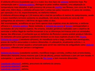 O elefante-africano (Loxodonta spp.) é o maior dos dois tipos de elefante existentes hoje. Por
comparação com o elefante-asiático, distingue-se pelas orelhas maiores, uma adaptação às
temperaturas mais elevadas, e pela presença de presas de marfim nas fêmeas, com cerca de 70 kg
cada uma. Além disso, o elefante-africano tem 3 unhas nas patas traseiras e 21 pares de costelas,
por oposição a 4 e 19, respectivamente, no elefante-indiano.
O elefante-africano atinge os 3,50 metros até o nível da cernelha e 6 metros de comprimento, sendo
o maior mamífero terrestre existente na atualidade. Um adulto necessita de cerca de 250
quilogramas de alimento e 160 litros de água todos os dias.
Até recentemente, acreditava-se que havia apenas duas espécies vivas de elefantes, o elefanteafricano e o elefante-asiático. Neste contexto, o elefante-da-savana e floresta correspondiam a
variedades de uma mesma espécie. No entanto, estudos genéticos realizados com o objetivo de
controlar o tráfico ilegal de marfim trouxeram à luz as diferenças intrínsecas entre as variedades.
Apesar das diferenças, é conhecido que os elefantes-da-floresta e savana podem produzir híbridos.
Os elefantes-africanos (género Loxodonta) dividem-se em duas espécies atuais e três fósseis.
Elefante-da-savana (Loxodonta africana), de mandíbula curta e larga, orelhas mais pontiagudas,
presas de marfim encurvadas e maiores dimensões. A subespécie, atualmente extinta, L. a.
pharaoensis foi o animal caçado e amansado para servir nos exércitos da antiguidade como elefante
de guerra, utilizados por persas e cartagineses
Elefante-da-floresta (Loxodonta cyclotis), mandíbula longa e estreita, orelhas mais arredondadas,
dimensões menores (nunca maiores que 2,5m de altura), presas rectilíneas e com um tom rosado. A
subespécie L. c. pumilio é natural da bacia do Rio Congo e tem menores dimensões.
Loxodonta adaurora†, extinta, precursora do elefante da savana.
Loxodonta atlantica†, extinto.
Loxodonta exaptata†, extinto.

 
