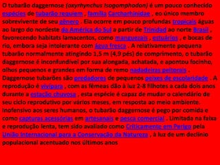 O tubarão daggernose (oxyrhynchus Isogomphodon) é um pouco conhecido
espécies de tubarão requiem , família Carcharhinidae , eo único membro
sobrevivente de seu gênero . Ela ocorre em pouco profundas tropicais águas
ao largo do nordeste da América do Sul a partir de Trinidad ao norte Brasil ,
favorecendo habitats lamacentos, como manguezais , estuários , e bocas de
rio, embora seja intolerante com água fresca . A relativamente pequena
tubarão normalmente atingindo 1,5 m (4,9 pés) de comprimento, o tubarão
daggernose é inconfundível por sua alongada, achatada, e apontou focinho,
olhos pequenos e grandes em forma de remo nadadeiras peitorais .
Daggernose tubarões são predadores de pequenos peixes de escolaridade . A
reprodução é vivípara , com as fêmeas dão à luz 2-8 filhotes a cada dois anos
durante a estação chuvosa , esta espécie é capaz de mudar o calendário de
seu ciclo reprodutivo por vários meses, em resposta ao meio ambiente.
Inofensivo aos seres humanos, o tubarão daggernose é pego por comida e
como capturas acessórias em artesanais e pesca comercial . Limitada na faixa
e reprodução lenta, tem sido avaliado como Criticamente em Perigo pela
União Internacional para a Conservação da Natureza , à luz de um declínio
populacional acentuado nos últimos anos

 