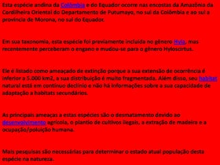 Esta espécie andina da Colômbia e do Equador ocorre nas encostas da Amazônia da
Cordilheira Oriental do Departamento de Putumayo, no sul da Colômbia e ao sul a
província de Morona, no sul do Equador.

Em sua taxonomia, esta espécie foi previamente incluída no gênero Hyla, mas
recentemente perceberam o engano e mudou-se para o gênero Hyloscirtus.

Ele é listado como ameaçado de extinção porque a sua extensão de ocorrência é
inferior a 5.000 km2, a sua distribuição é muito fragmentada. Além disso, seu habitat
natural está em contínuo declínio e não há informações sobre a sua capacidade de
adaptação a habitats secundários.

As principais ameaças a estas espécies são o desmatamento devido ao
desenvolvimento agrícola, o plantio de cultivos ilegais, a extração de madeira e a
ocupação/poluição humana.

Mais pesquisas são necessárias para determinar o estado atual população desta
espécie na natureza.

 
