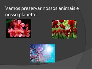 Vamos preservar nossos animais e
nosso planeta!
 