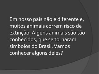 Em nosso país não é diferente e,
muitos animais correm risco de
extinção. Alguns animais são tão
conhecidos, que se tornaram
símbolos do Brasil.Vamos
conhecer alguns deles?
 