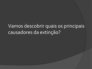 Vamos descobrir quais os principais
causadores da extinção?
 
