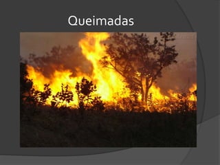 Queimadas
 