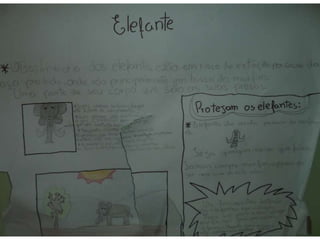 Animais em extinção - Ciências