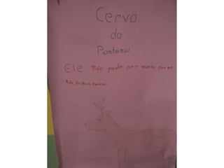 Animais em extinção - Ciências