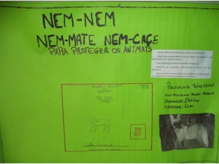 Animais em extinção - Ciências