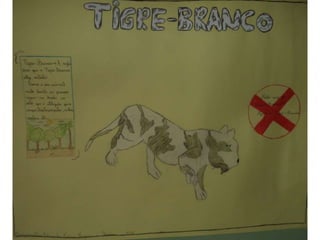 Animais em extinção - Ciências