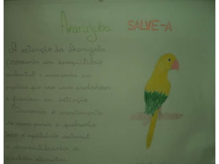 Animais em extinção - Ciências