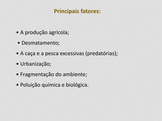 Principais fatores: 
• A produção agrícola; 
• Desmatamento; 
• A caça e a pesca excessivas (predatórias); 
• Urbanização; 
• Fragmentação do ambiente; 
• Poluição química e biológica. 
 