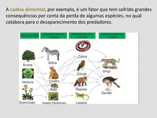 A cadeia alimentar, por exemplo, é um fator que tem sofrido grandes 
consequências por conta da perda de algumas espécies, no qual 
colabora para o desaparecimento dos predadores. 
 