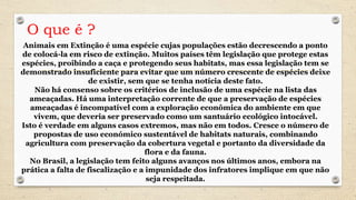 Animais em Extinção é uma espécie cujas populações estão decrescendo a ponto
de colocá-la em risco de extinção. Muitos países têm legislação que protege estas
espécies, proibindo a caça e protegendo seus habitats, mas essa legislação tem se
demonstrado insuficiente para evitar que um número crescente de espécies deixe
de existir, sem que se tenha notícia deste fato.
Não há consenso sobre os critérios de inclusão de uma espécie na lista das
ameaçadas. Há uma interpretação corrente de que a preservação de espécies
ameaçadas é incompatível com a exploração econômica do ambiente em que
vivem, que deveria ser preservado como um santuário ecológico intocável.
Isto é verdade em alguns casos extremos, mas não em todos. Cresce o número de
propostas de uso económico sustentável de habitats naturais, combinando
agricultura com preservação da cobertura vegetal e portanto da diversidade da
flora e da fauna.
No Brasil, a legislação tem feito alguns avanços nos últimos anos, embora na
prática a falta de fiscalização e a impunidade dos infratores implique em que não
seja respeitada.
O que é ?
 