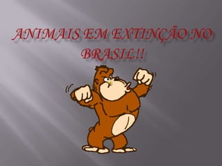 Animais em Extinção no Brasil!! 