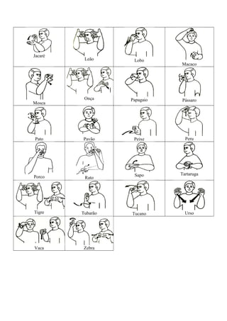 Jacaré
Leão Lobo
Macaco
Mosca
Onça Papagaio Pássaro
Pato Pavão Peixe Peru
Porco Rato
Sapo Tartaruga
Tigre Tubarão Tucano Urso
Vaca Zebra
 