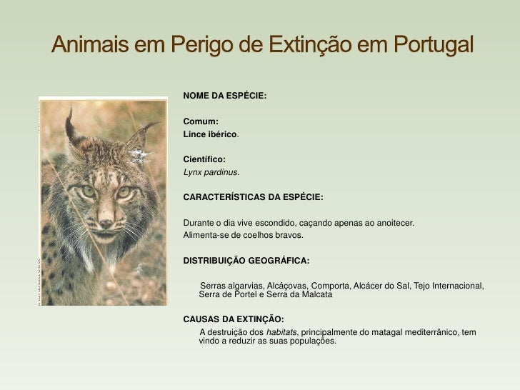 Animais Em Via De Extinção Em Portugal