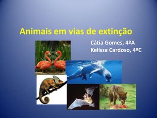 Animais em vias de extinção,[object Object],Cátia Gomes, 4ºA,[object Object],KelissaCardoso, 4ºC,[object Object]