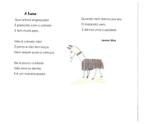 Animais e muito mais