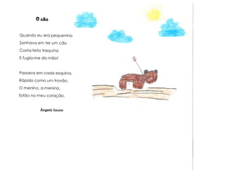 Animais e muito mais