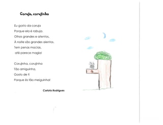 Animais e muito mais