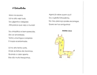 Animais e muito mais