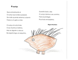 Animais e muito mais