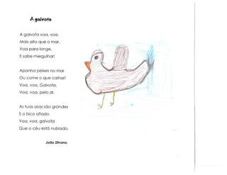 Animais e muito mais