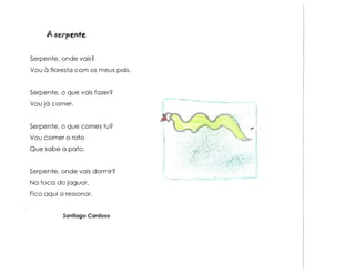 Animais e muito mais