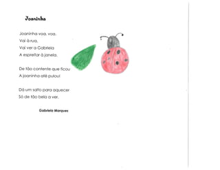 Animais e muito mais