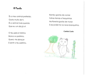 Animais e muito mais