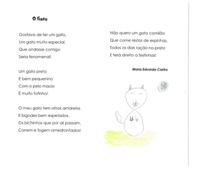 Animais e muito mais