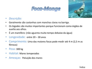 • Descrição:
• Geralmente são castanhas com manchas claras na barriga.
• Os bigodes são muitos importantes porque funcionam como órgãos de
  auxilio aos olhos.
• É um mamífero: (não aguenta muito tempo debaixo da água)
• Longevidade: entre 20 – 30 anos
• Comprimento: Uma das maiores focas pode medir até 4 m (2,5 m as
   fêmeas)
• Peso: 300 kg
• Habitat: Mares temperados
• Ameaças: Poluição dos mares


                                                                Índice
 